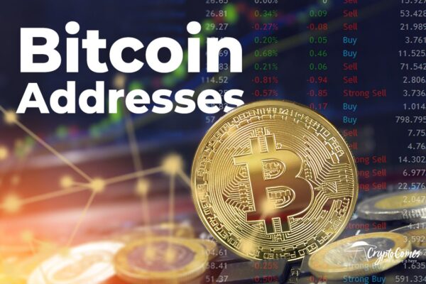 Bitcoin Addresses