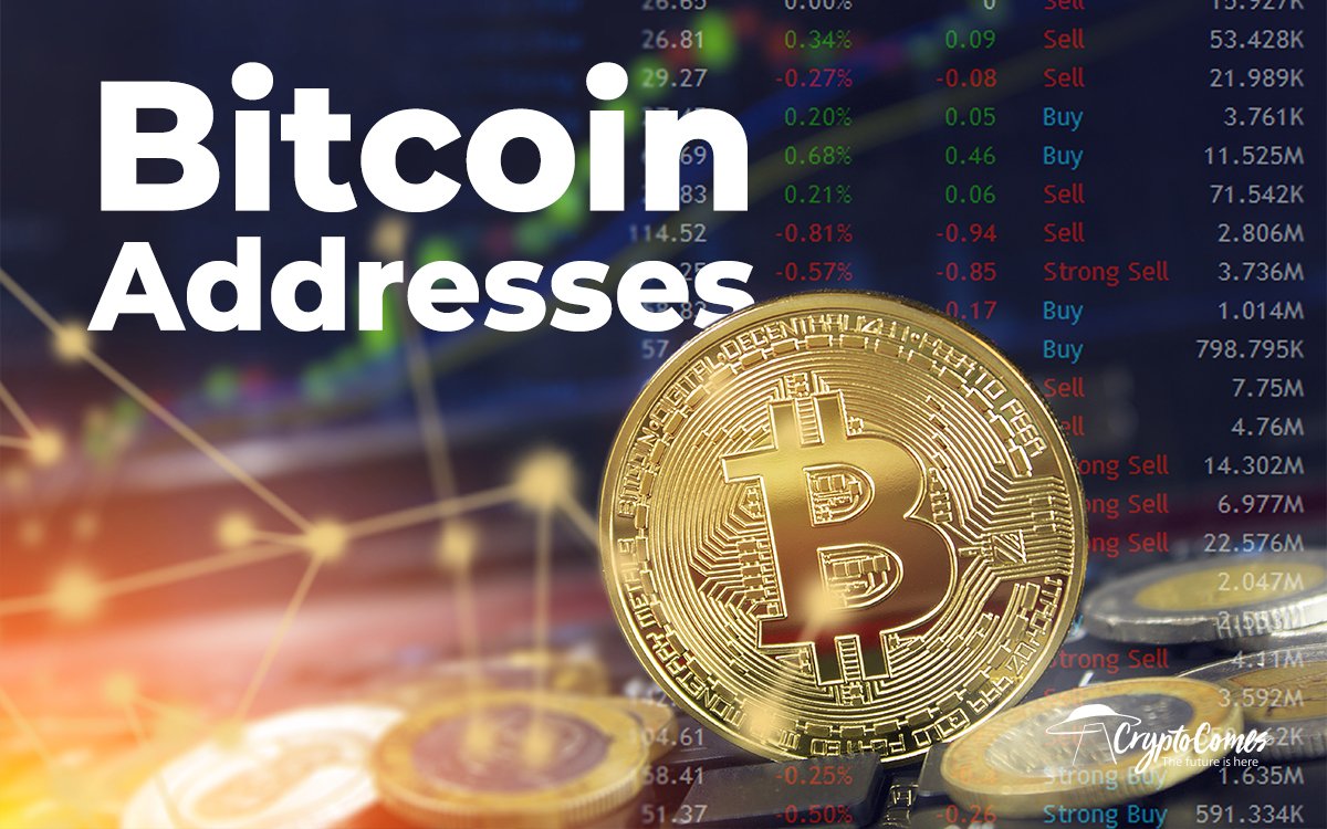 Bitcoin Addresses