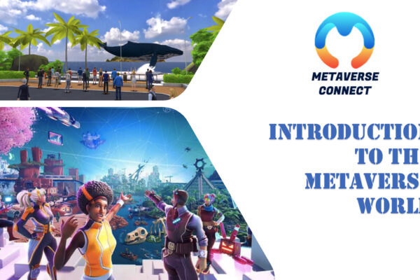 Introduction to the Metaverse world