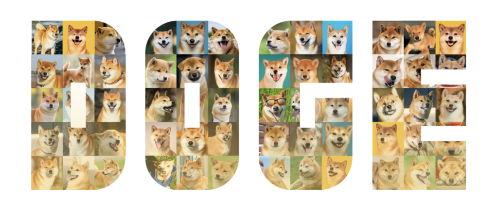 An article tells you about Dogecoin